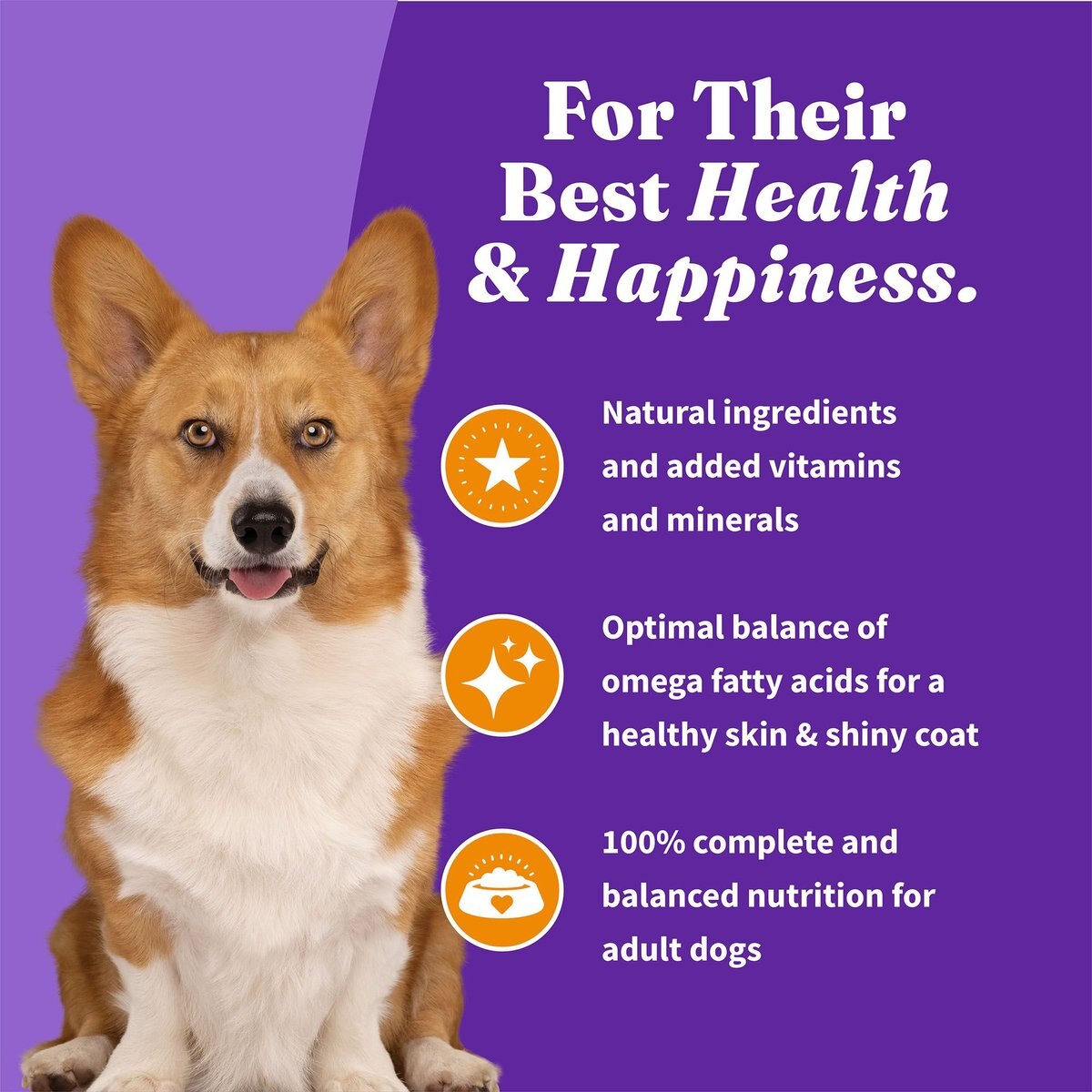 Halo Holistic Complete Digestive Health Grain-Free Chicken and Sweet Potato Dog Food Recipe Small Breed Dry Dog Food