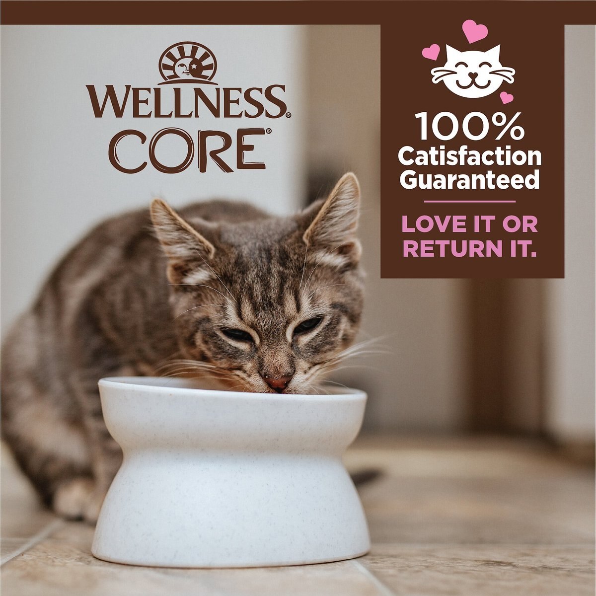 Wellness CORE Tiny Tasters Kitten Chicken Grain-Free Minced Wet Cat Food， 1.75-oz pouch， case of 12