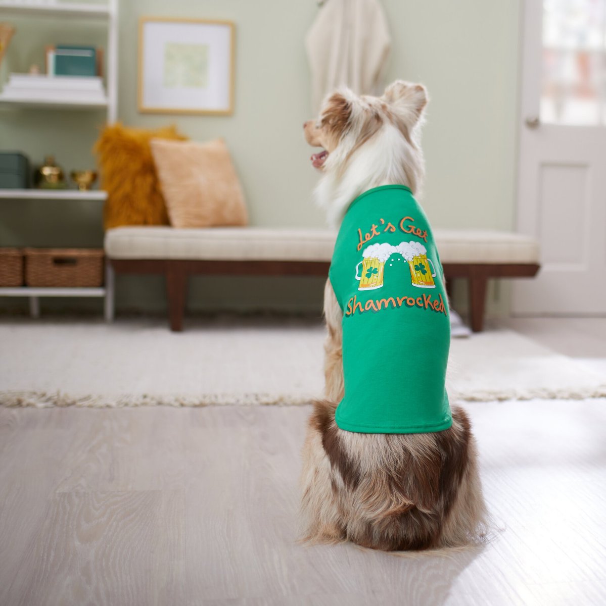 Frisco Let's Get Shamrocked Dog and Cat T-Shirt