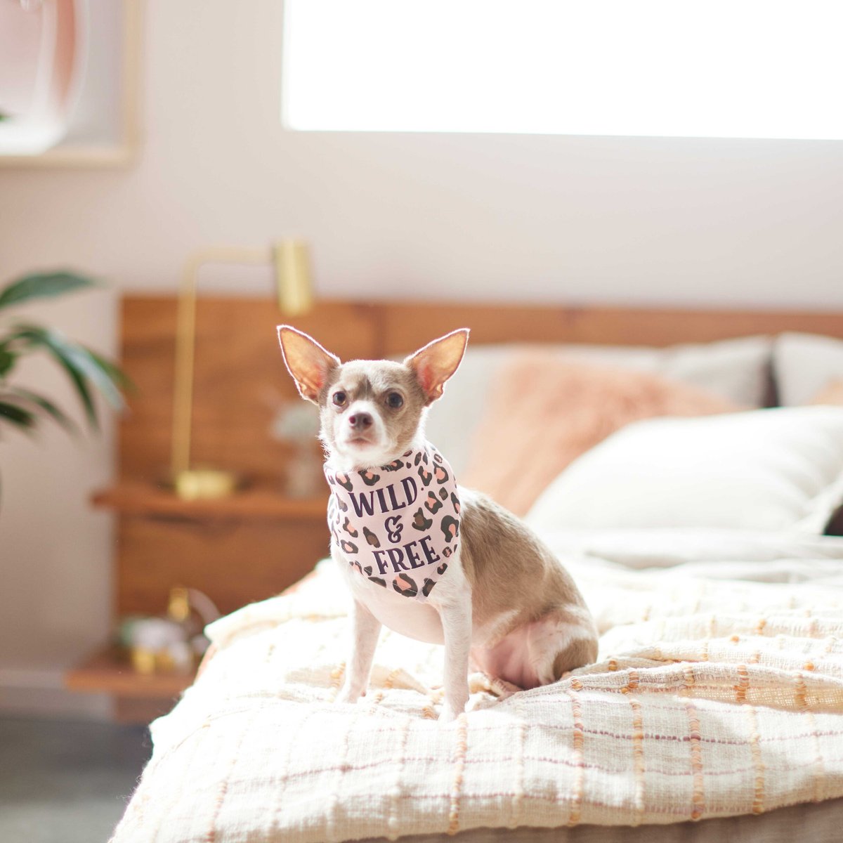 Frisco Pink Leopard Dog and Cat Bandana