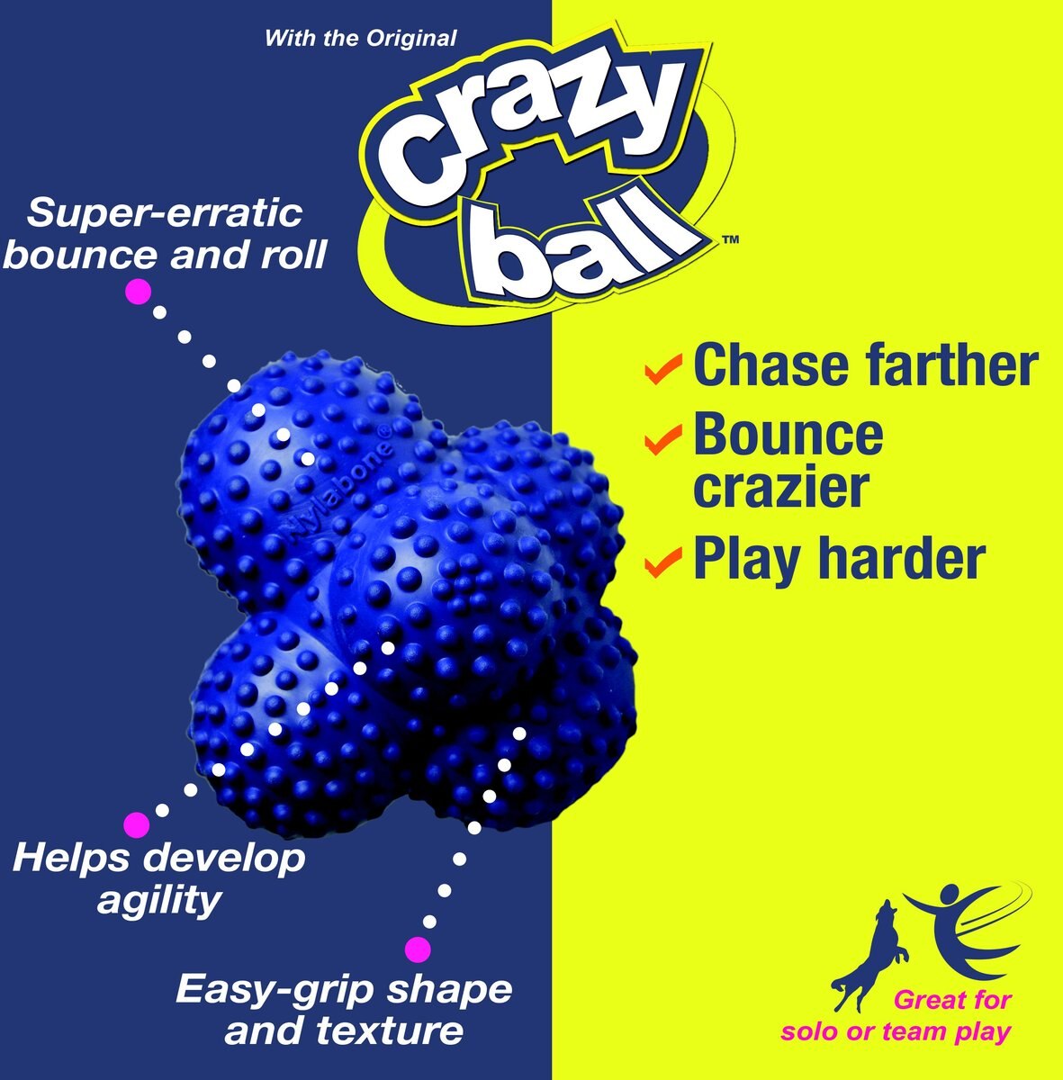 Nylabone Power Play Crazy Ball Dog Toy