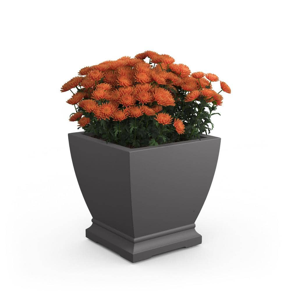 Mayne Acadia 20 in. Square Self-Watering Graphite Grey Polyethylene Planter 5920-GRG