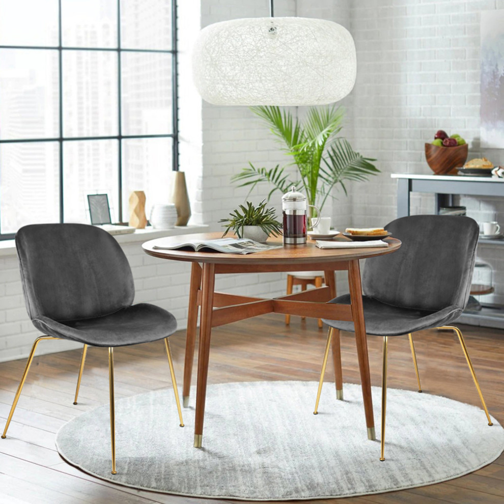 Dark Gray Velvet Shell Dining Chairs With Gold Legs  Set of 2   Midcentury   Dining Chairs   by specialty imports  Houzz