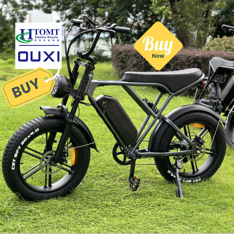 OUXI H9 20inches fatbike vintage design in EU ouxi v8 electric mountain bike all terrain ebike