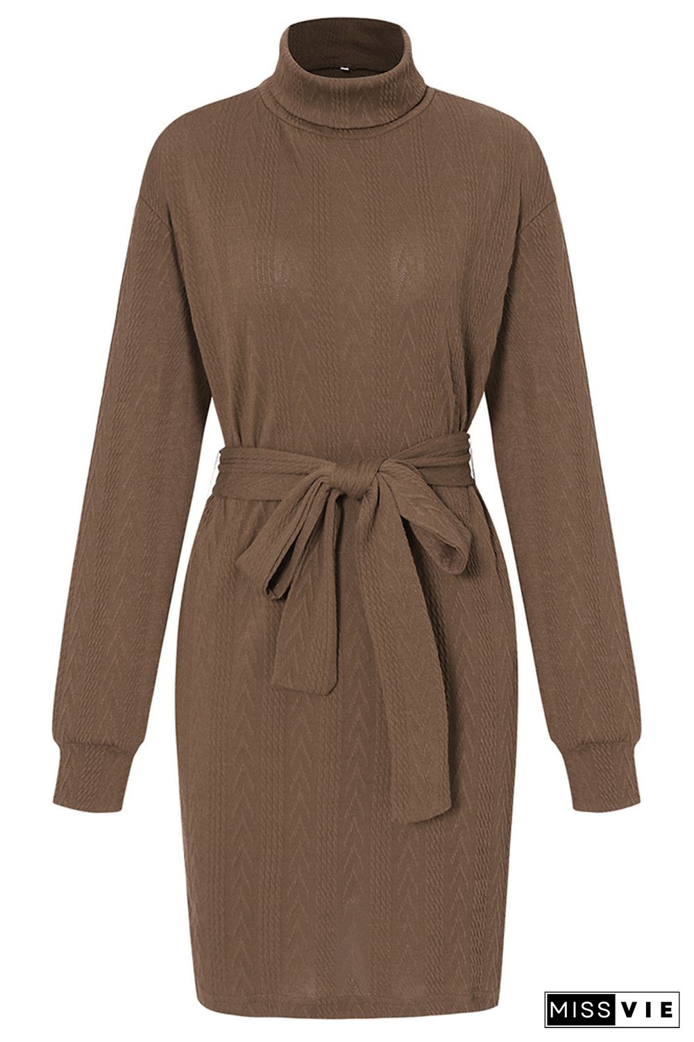 Turtleneck Long Sleeve Knee Length Sweater Dress