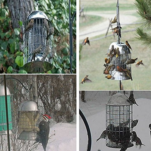 Best Grackle Squirrel Proof Bird Feeder by Bird Lovers