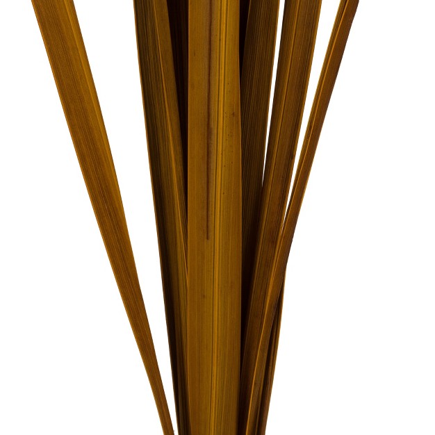 Snake Grass， Dried - 36 Stems