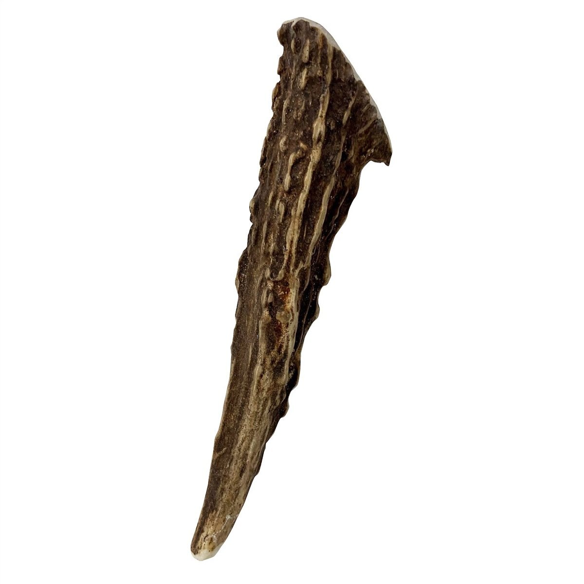 Venison Joe's Deer Antler Dog Treat， Small