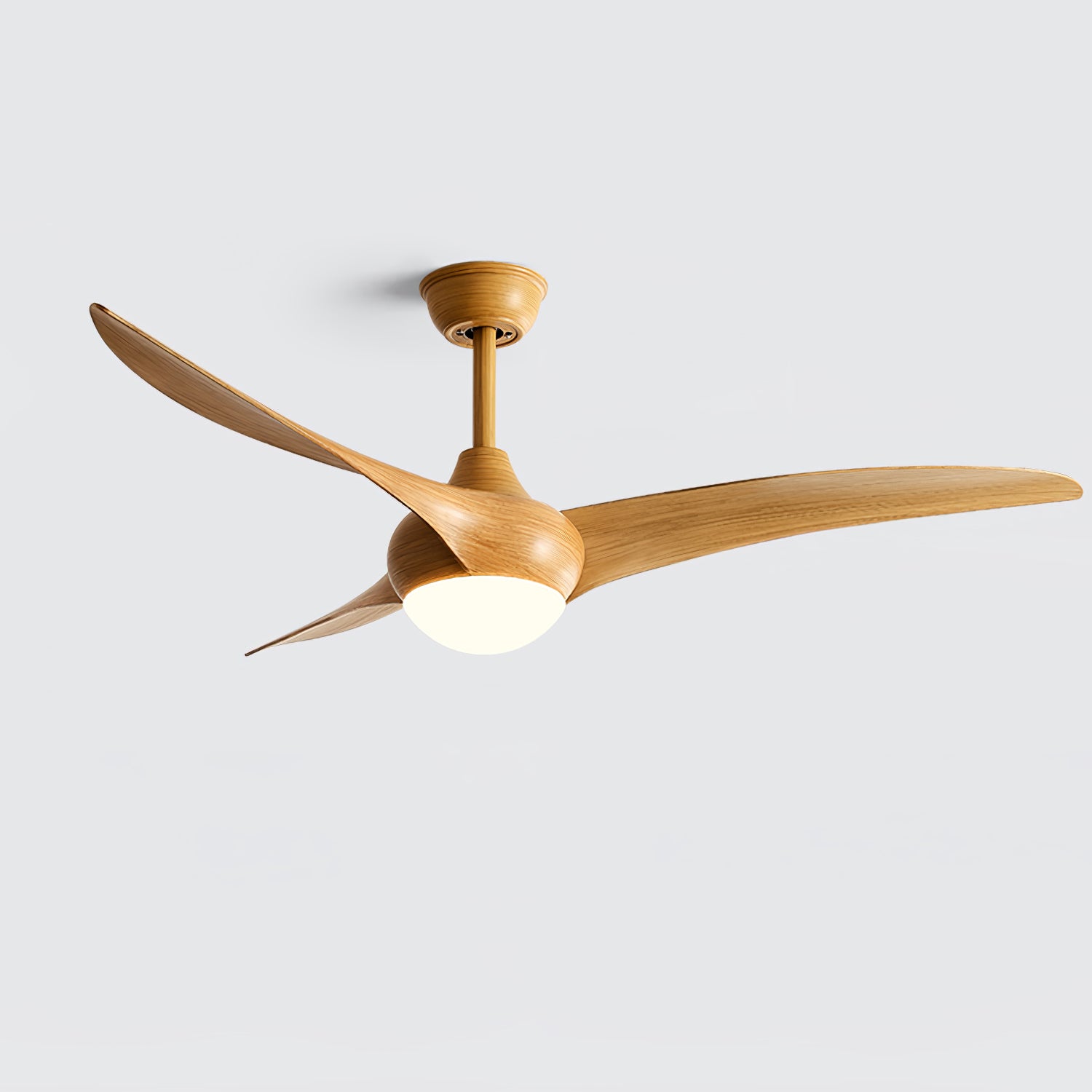 Traditional Ceiling Fan Light