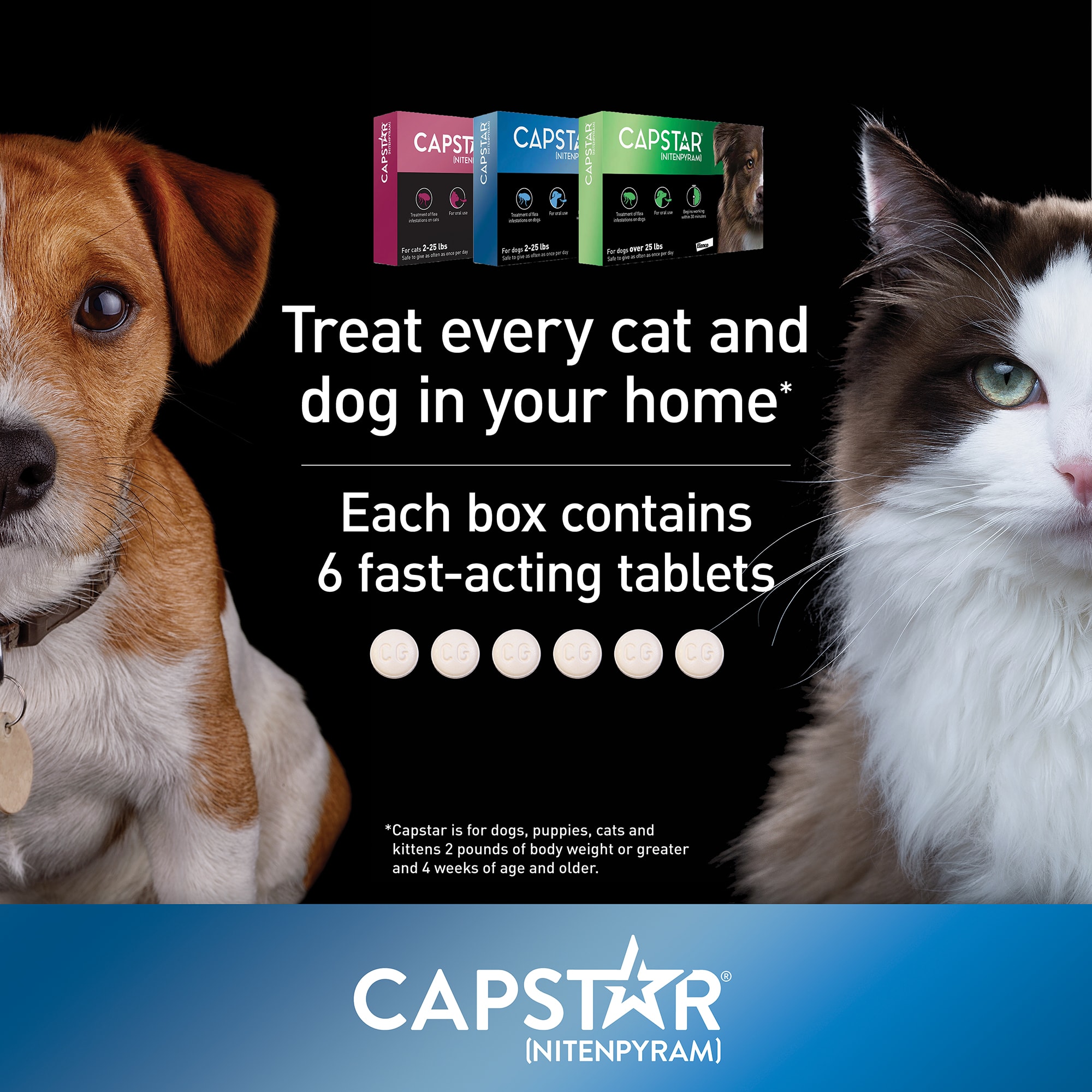 Capstar Flea Tablets for Dogs over 25 lbs.， Count of 6