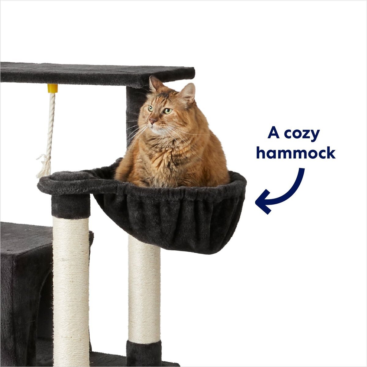 Frisco 66-in Cat Tree with Bed， Condo， Lounge Basket and Top Perch