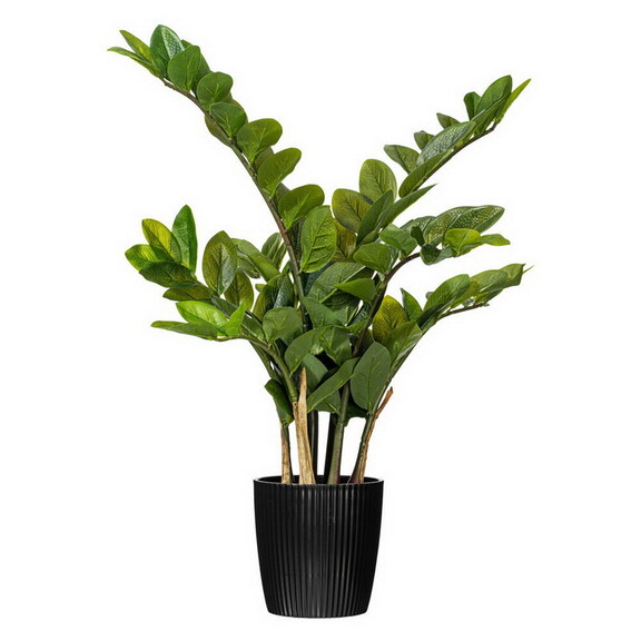 Vickerman Zamifolia Bush w/Pot  Green