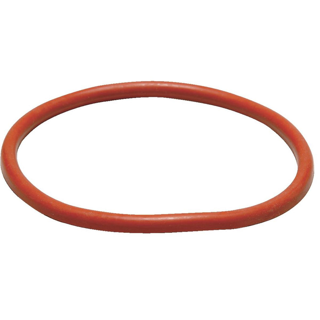 Tank Lid Gasket 4061345