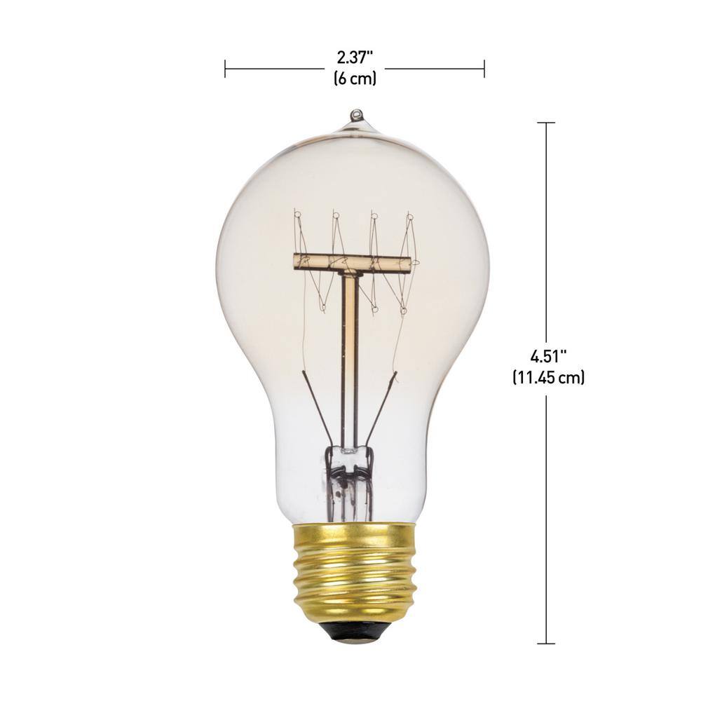 Globe Electric 60 Watt A19 Dimmable Cage Filament Vintage Edison Incandescent Light Bulb Warm Candle Light (12-Pack) 34841