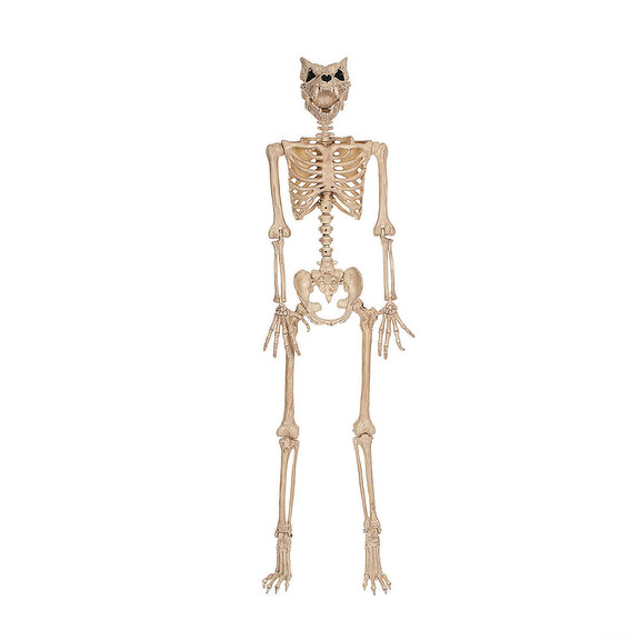 Morris Costumes SEZ28269 5 Ft. Werewolf Skeleton H...