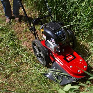 Toro 22 in. 163cc Walk Behind String Mower Cutting Swath with 4-Cycle Briggs and Stratton Engine 58620