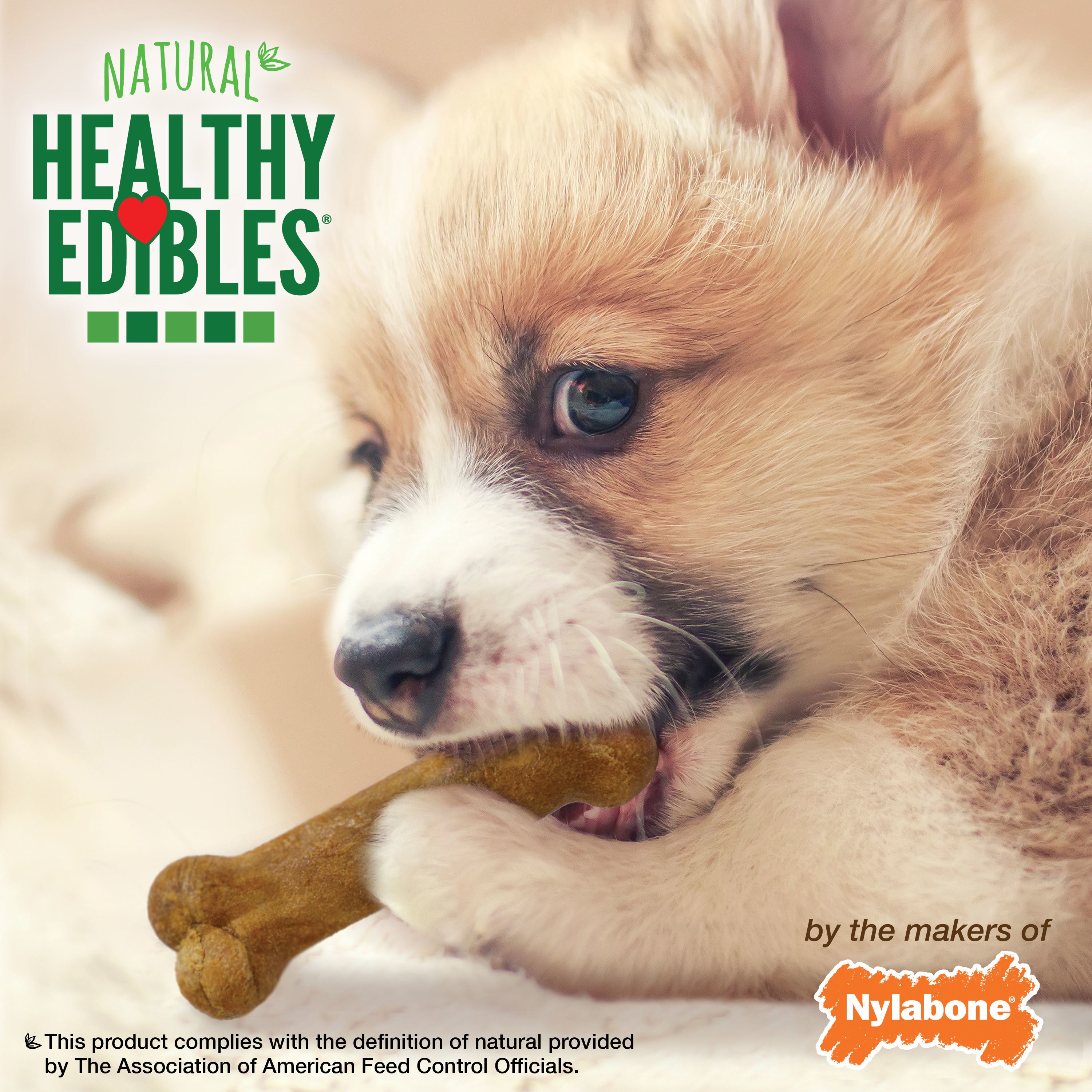 Nylabone Healthy Edibles Puppy Natural Long Lasting Dog Chew Treats Roast Beef， Turkey and Apple， and Bacon X-Small/Petite (3 Count)