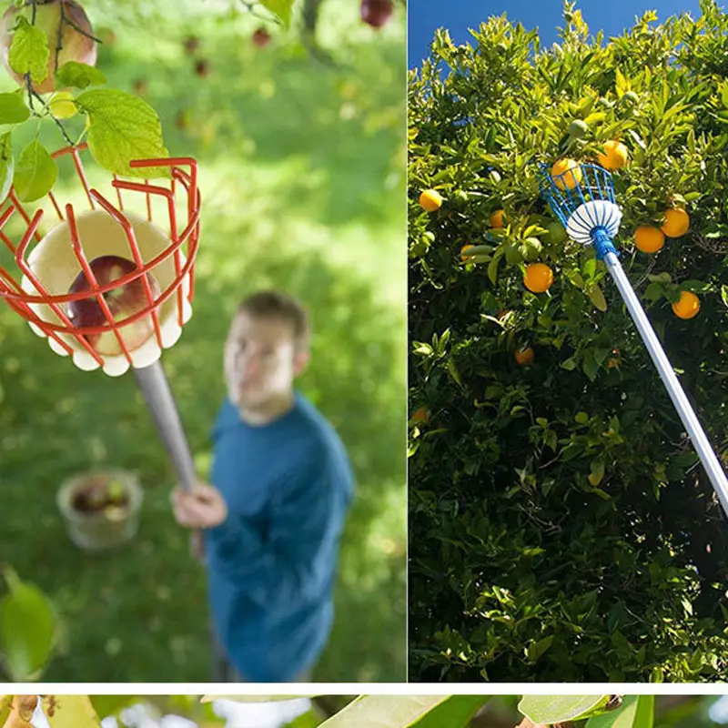 Iron Metal Fruit Picker Basket for Picking Persimmon Berry Garden Hand Tools