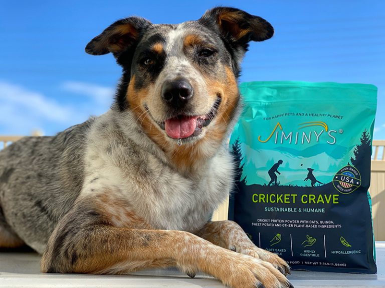 Jiminys Cricket Crave Dry Dog Food