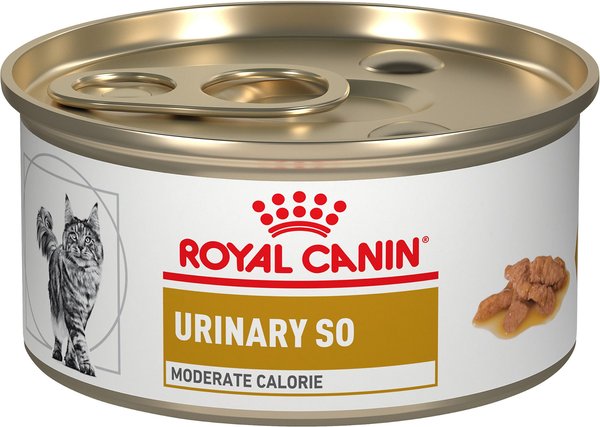 Royal Canin Veterinary Diet Adult Urinary SO Moderate Calorie Morsels in Gravy Canned Cat Food