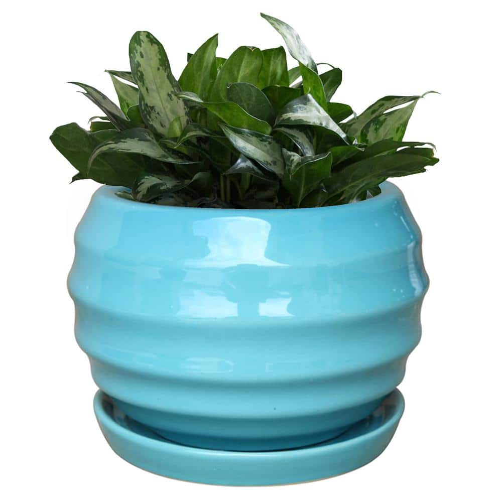 Trendspot 9 in. Lantern Bell Ceramic Planter in Aqua CR00301-09B