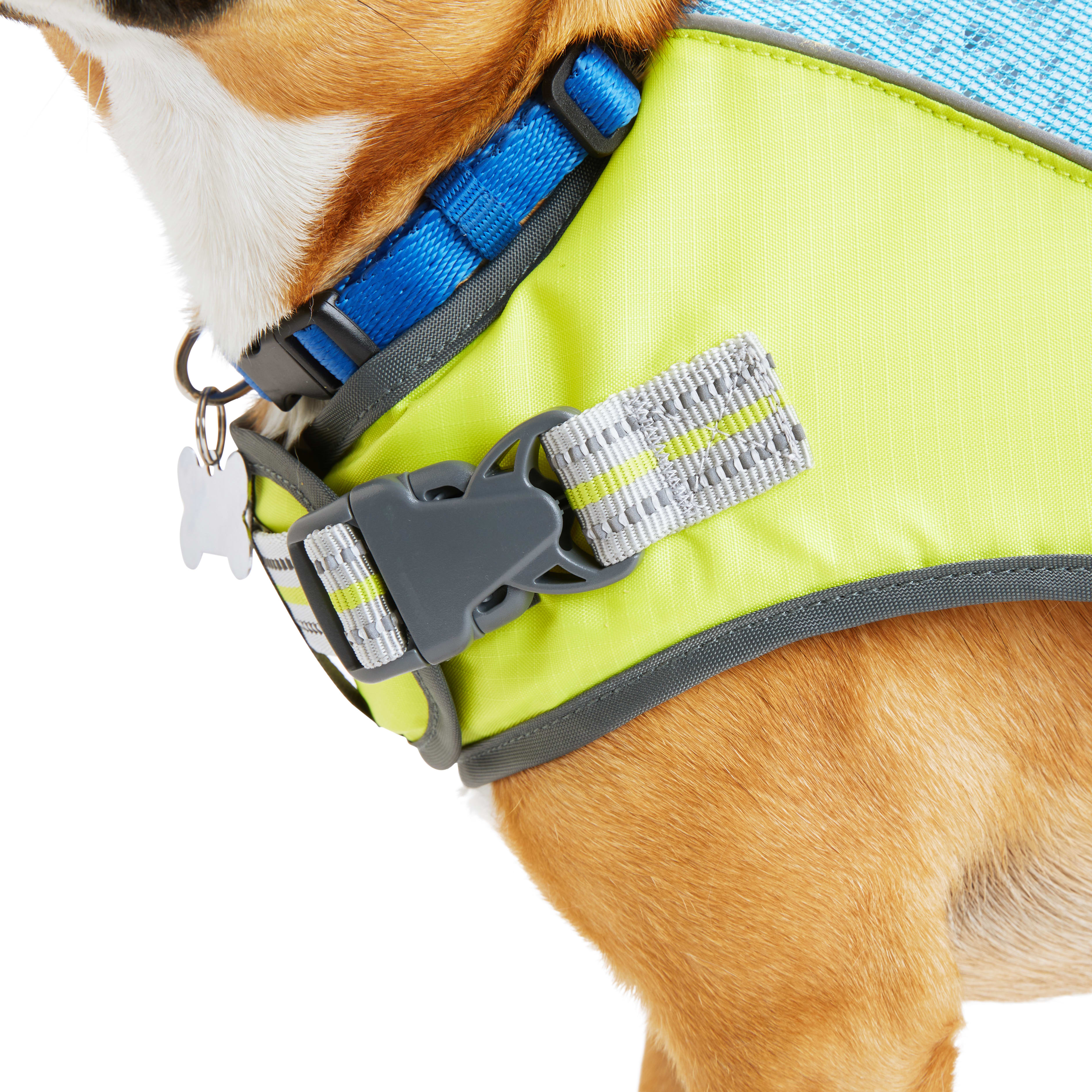 YOULY The Beach Bum Ultimate Dog Flotation Vest， X-Small