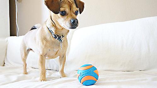 Chuckit Ultra Squeaker Ball Dog Toy Medium