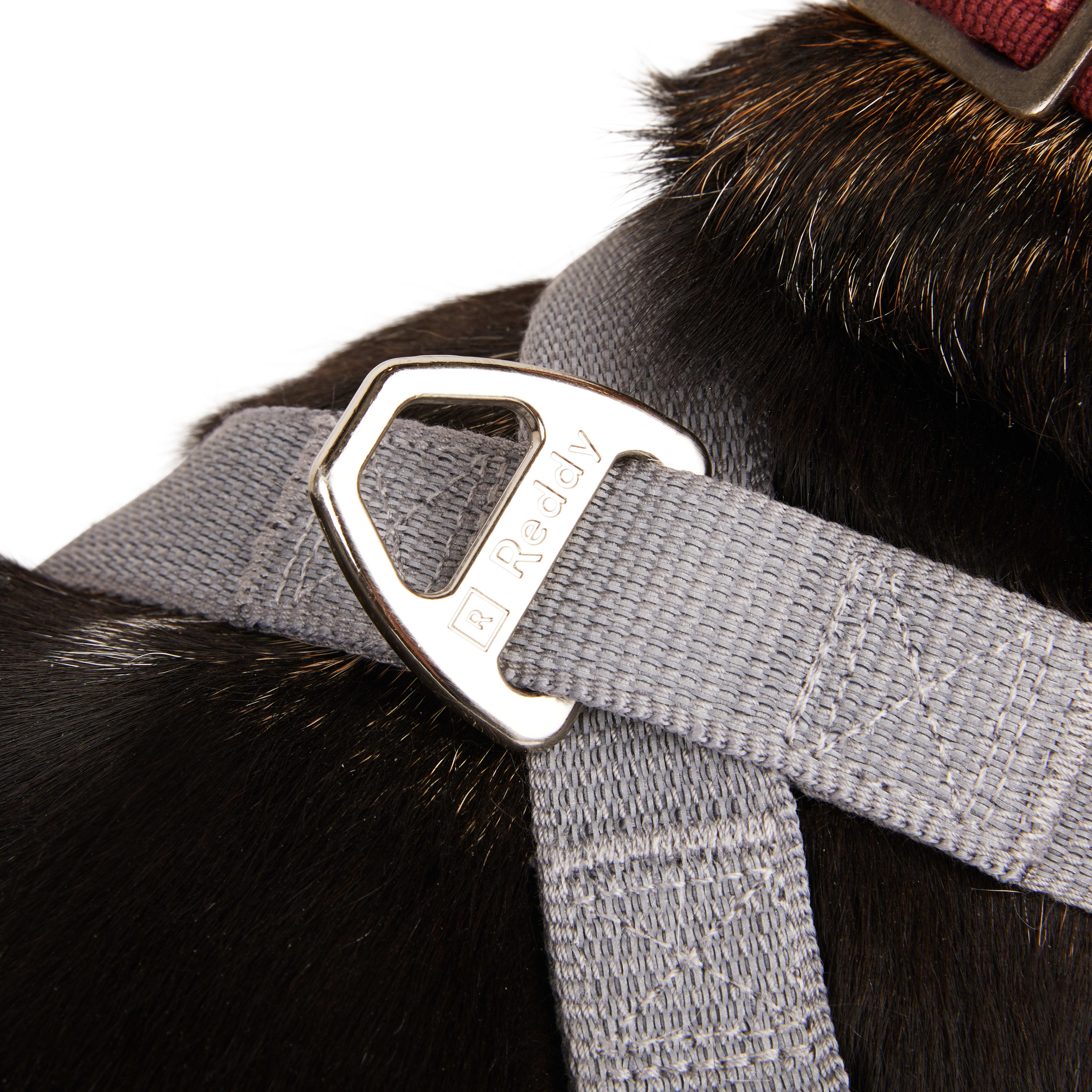 REDDY Grey Reflective Dog Harness， Medium