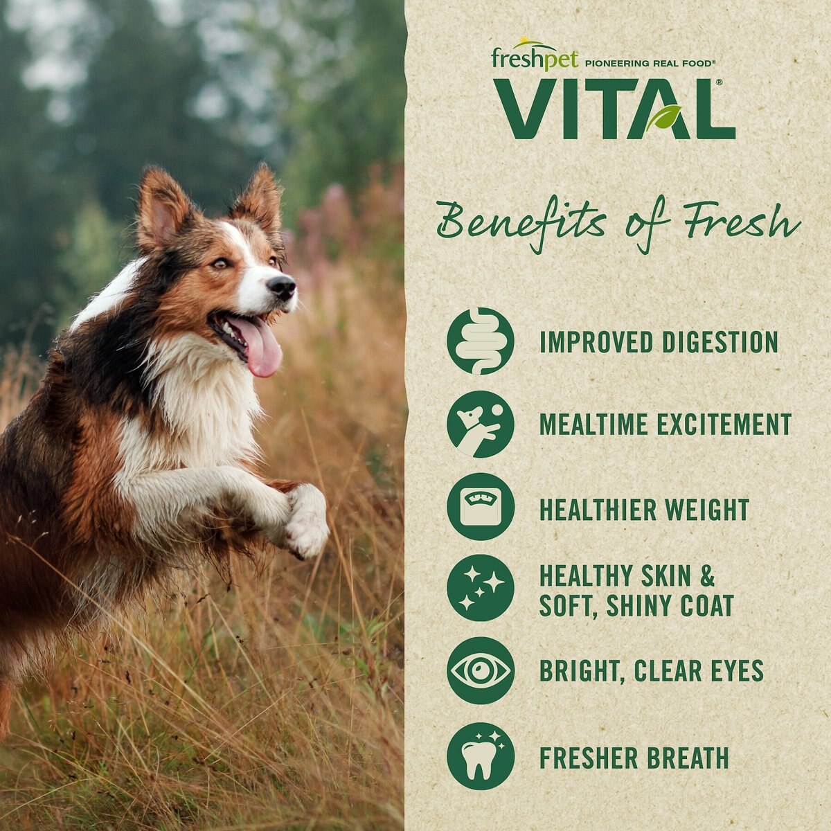 Freshpet Vital Chicken Recipe Fresh Dog Food， 1.75-lb bag， case of 4