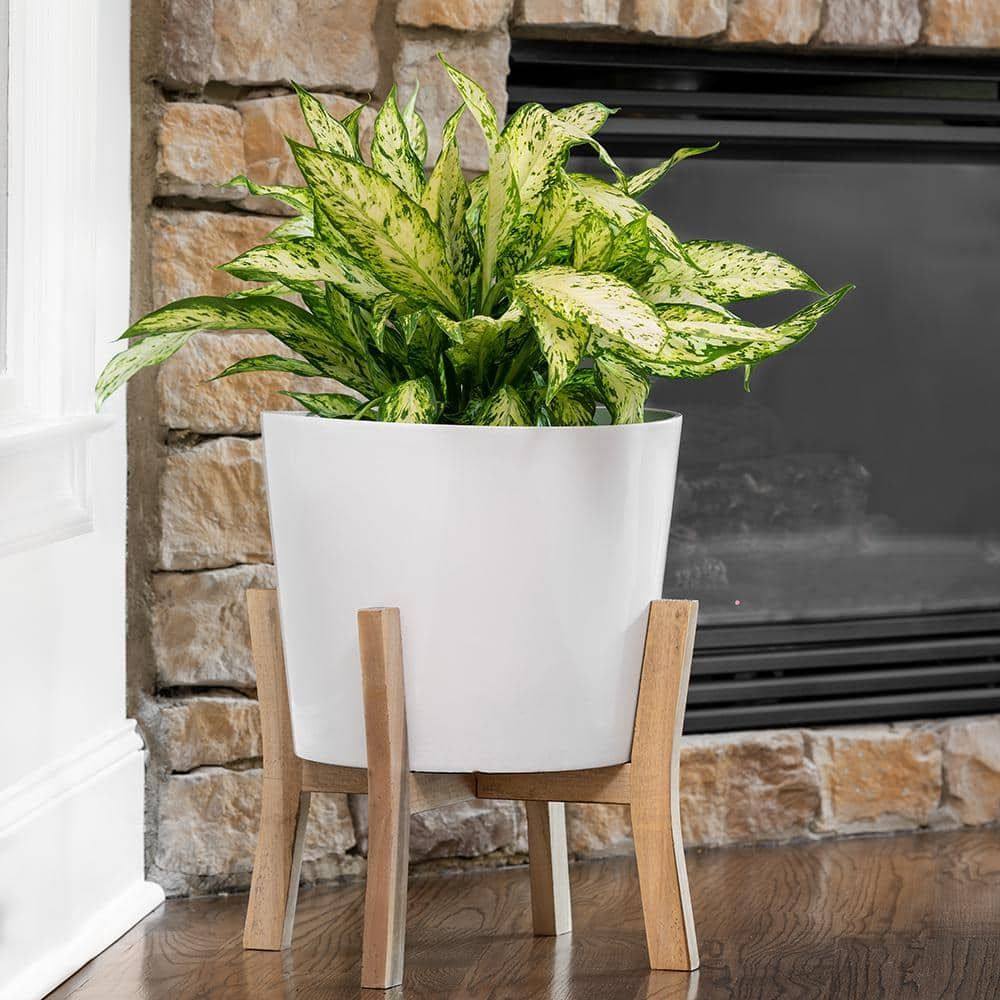 Vigoro 16 in. Shevlin Large White Resin Planter (16 in. W x 19.9 in. H) With Wood Stand CMX-049371A