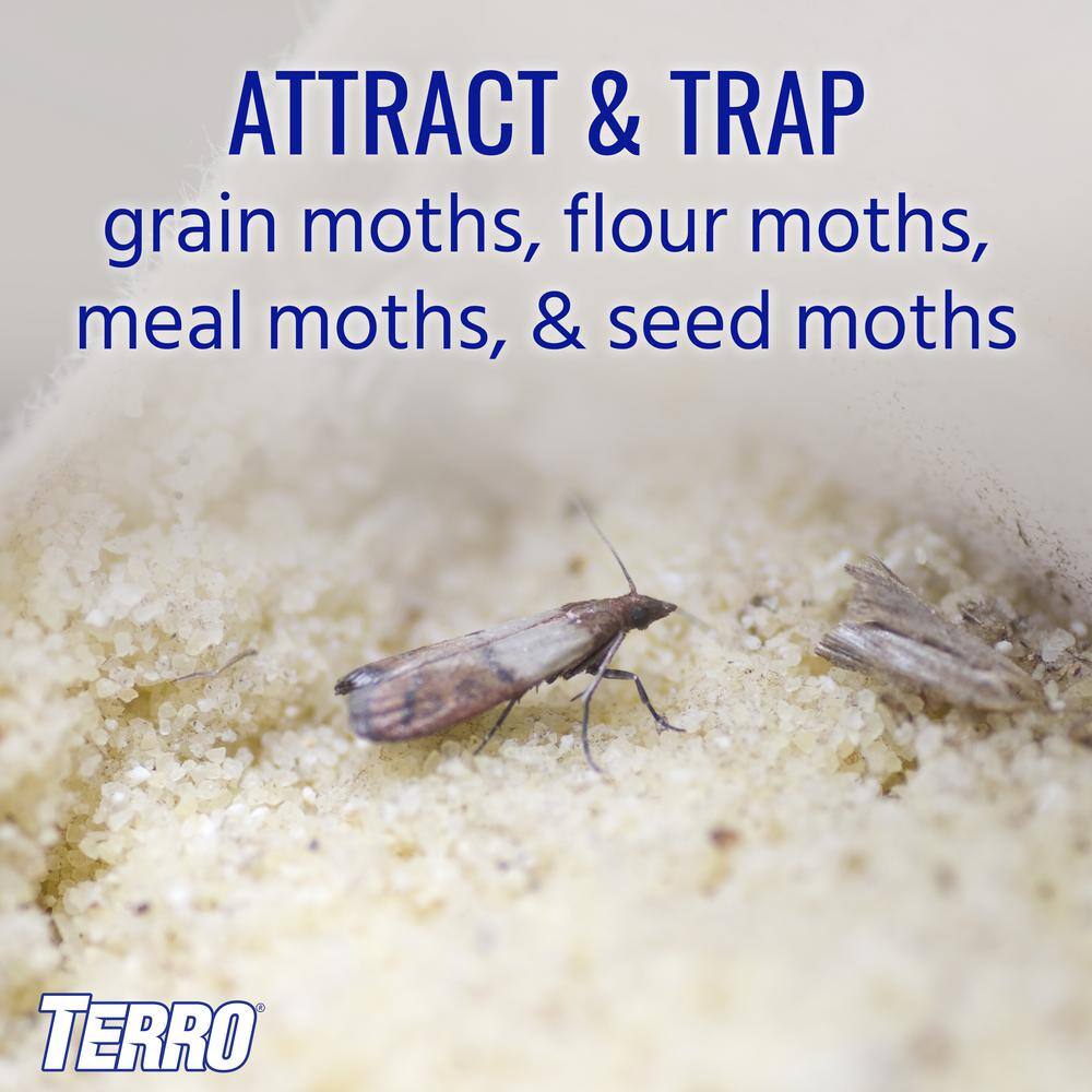 TERRO Non-Toxic Indoor Pantry Moth Trap (2-Count) T2900