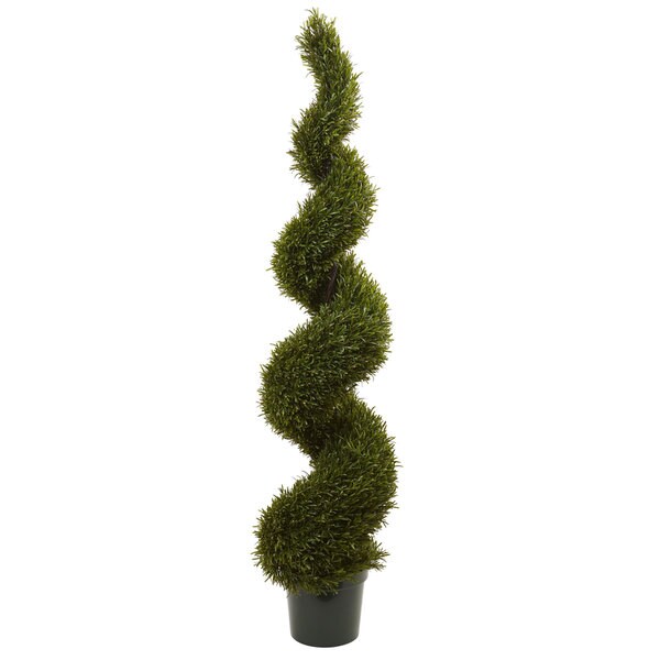 6foot Rosemary Spiral Tree (Indoor/Outdoor)