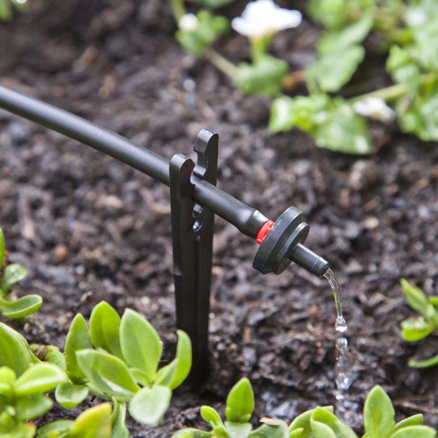 Raindrip Spot Drip Irrigation Dripper 0.5 gph 50 pk