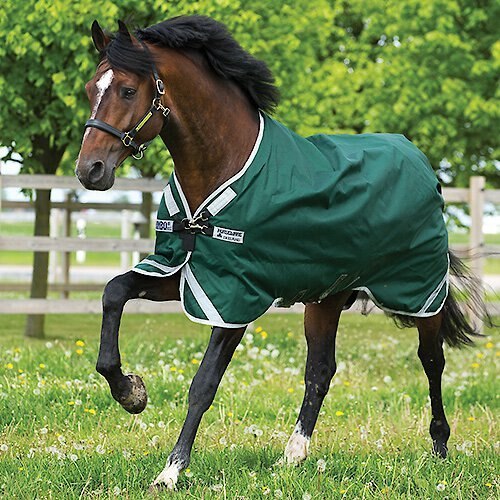 Horseware Ireland Rambo Original with Leg Arches Lite Horse Sheet