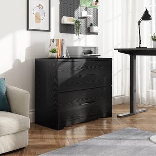 Modern Black 2-Drawer Wood Lateral File Cabinet with Anti-tilt Mechanism DE107056868