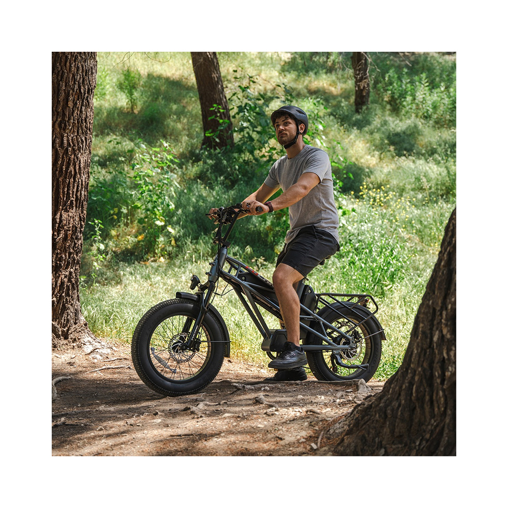 FUCARE Electric Bike 20 Inch Fat Tire Off Road Ebike 750W Powerful Mountain Electric Bicycle For Adults Cycling E Bike