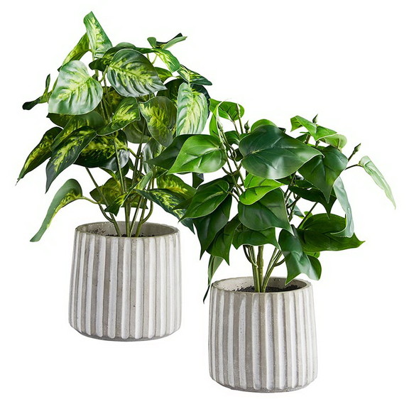 47th   Main CMR088 Plant In Cement Pot   Set Of 2