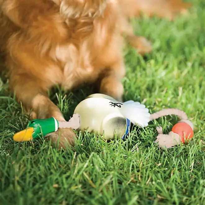 Browning Duck Rope Toy