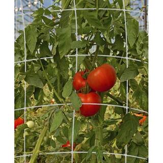 Dalen 5 ft. x 15 ft. Nylon Trellis Netting TP-15C