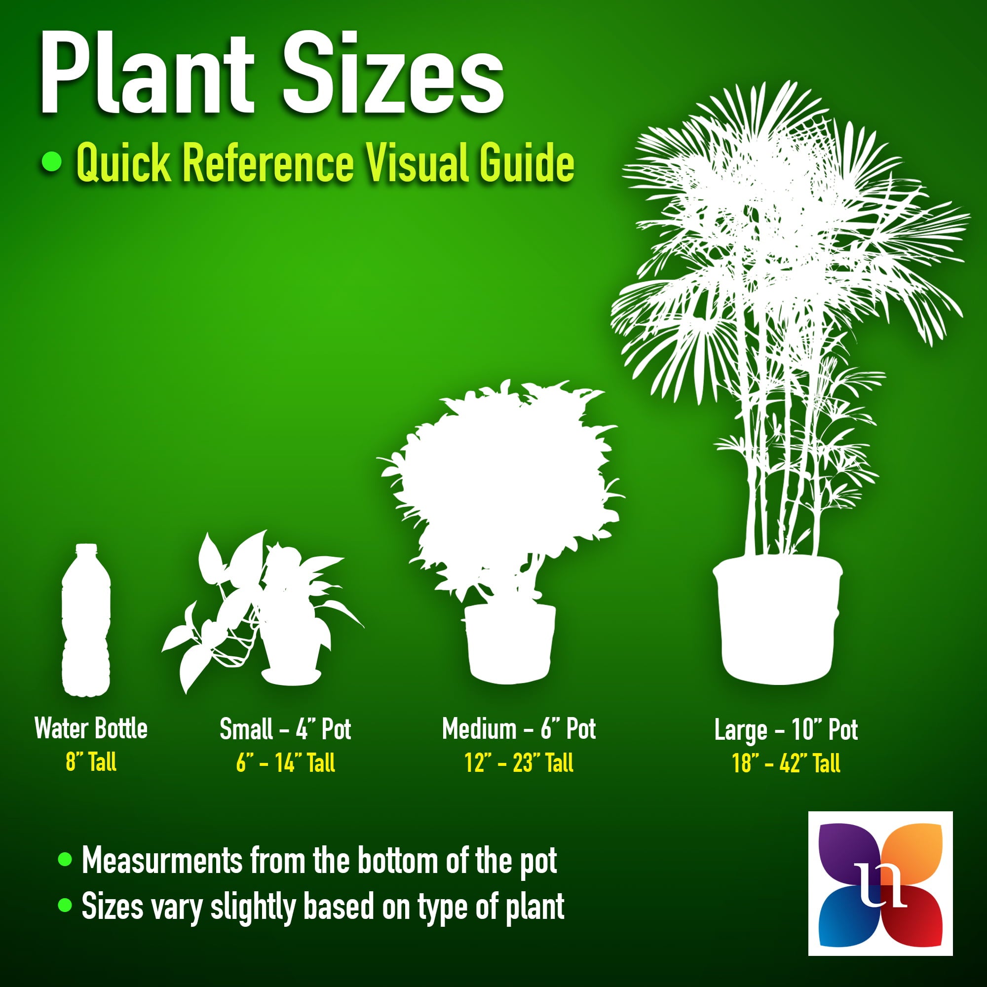 United Nursery Live Indoor 24in. Tall Green Monstera in Medium， Indirect Light Plant in 9.25in. Grower Pot