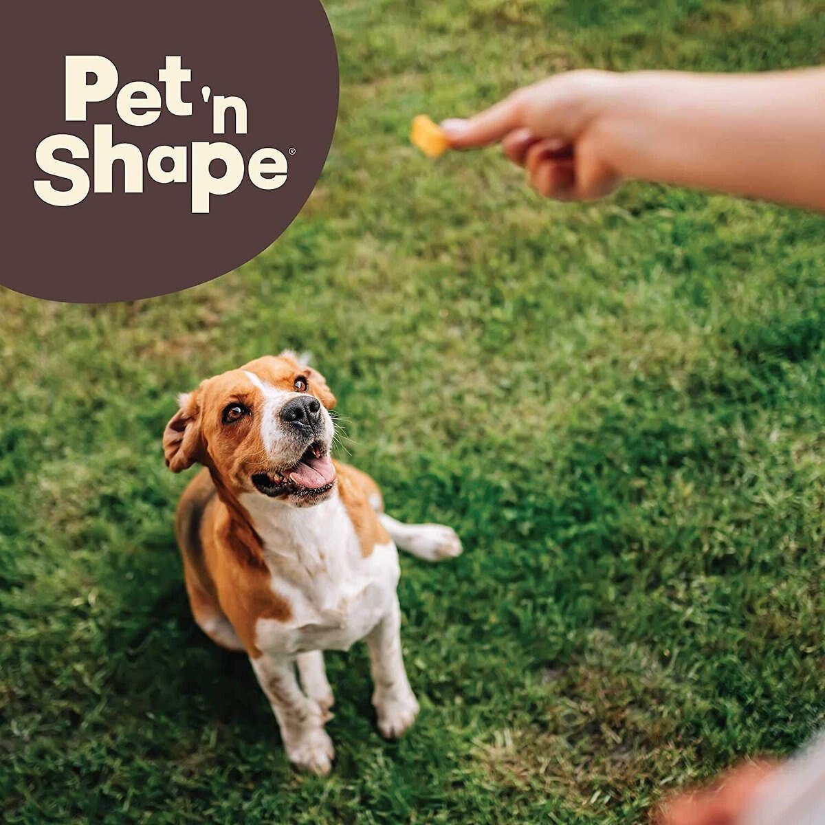 Pet 'n Shape American Patties Premium Beef Lung Dog Treats