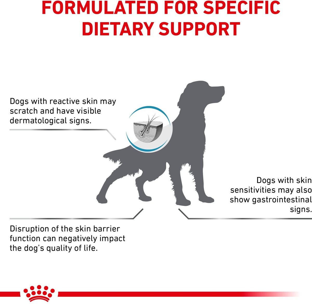 Royal Canin Veterinary Diet Adult Skin Support Dry Dog Food