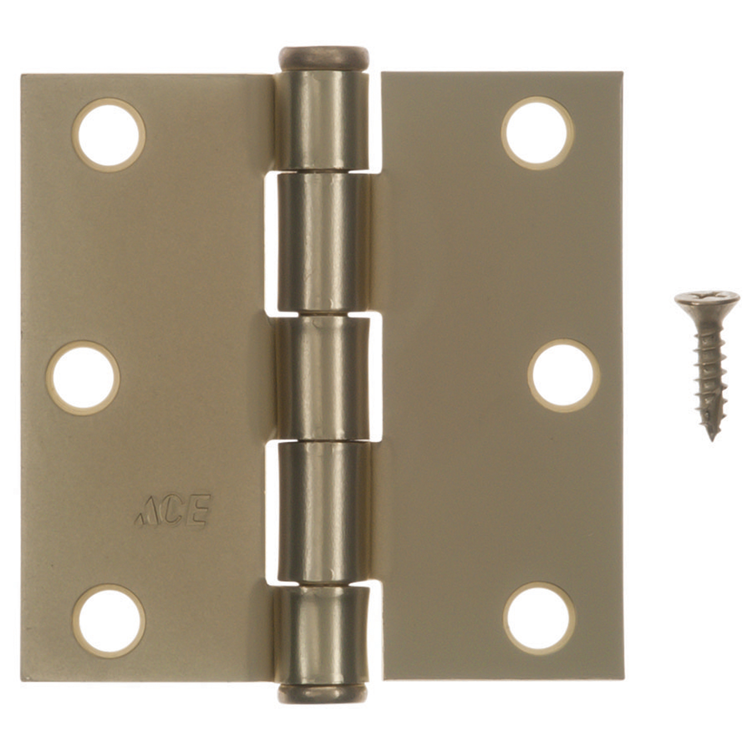 Ace 3 in. L Bright Brass Residential Door Hinge 3 pk