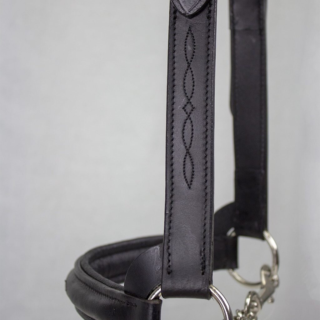 Derby Originals Premium Raised Padded Fancy Stitch Leather Cattle Show Halter and Chain Lead