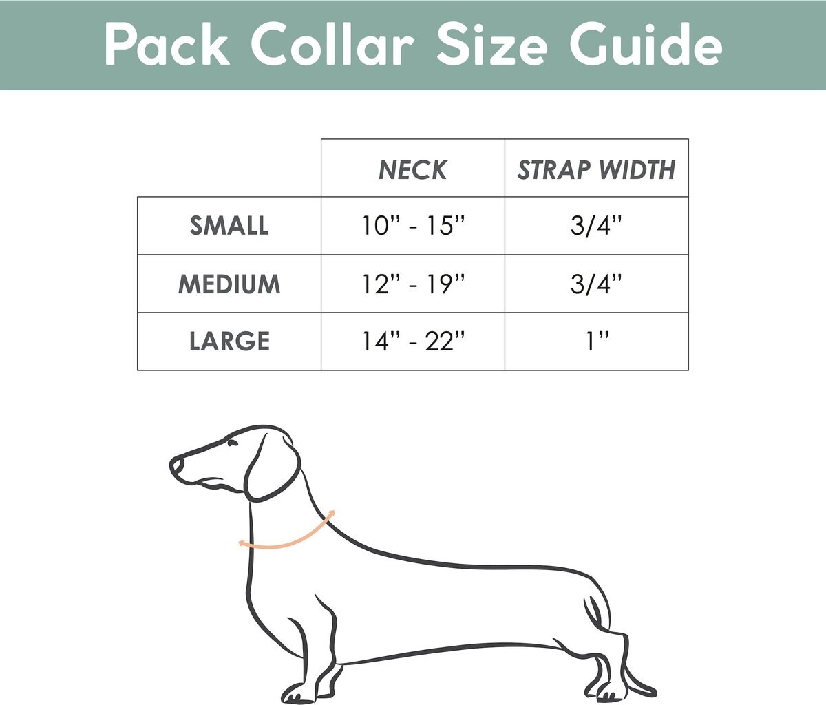 Awoo Pack Standard Dog Collar