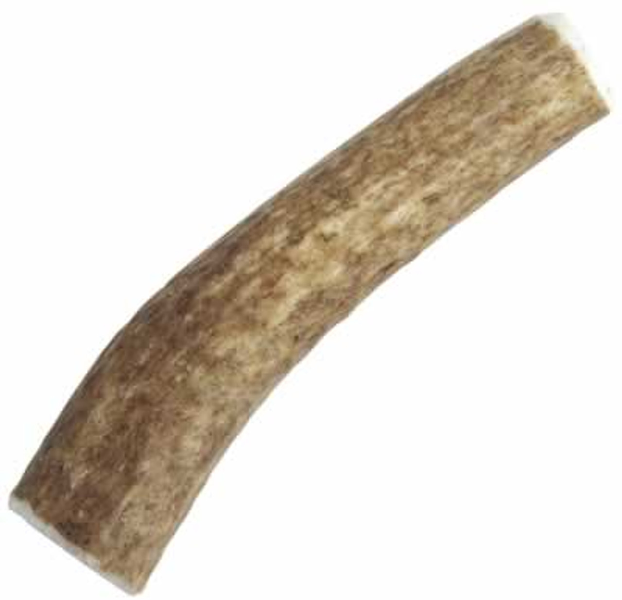 Happy Dog of Cape Cod Whole Elk Antler， Petite