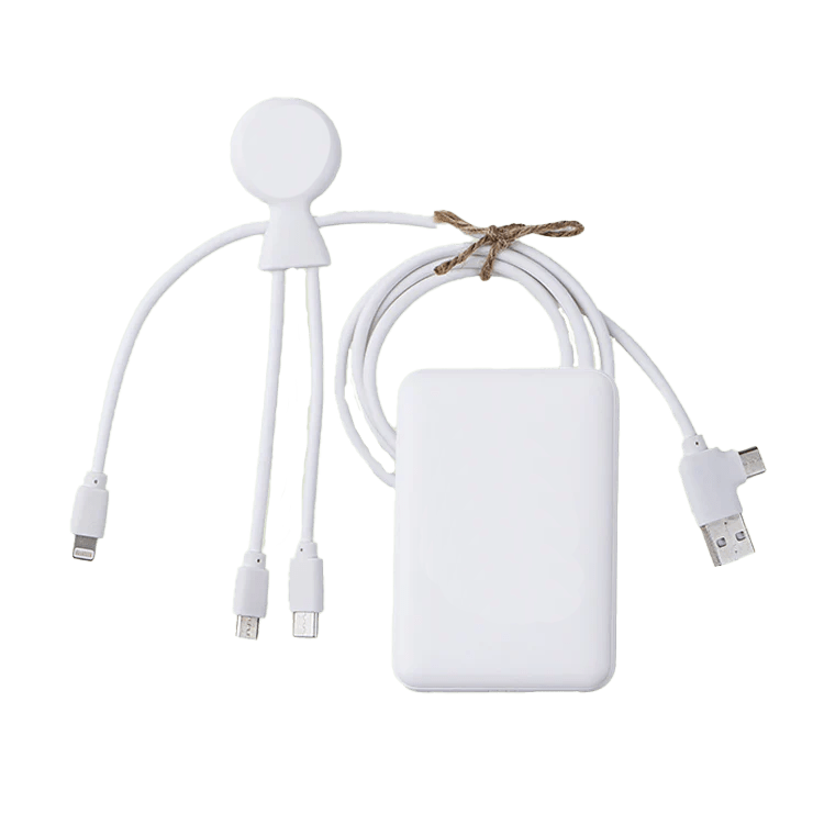 Ecopack - Charger & Cable set