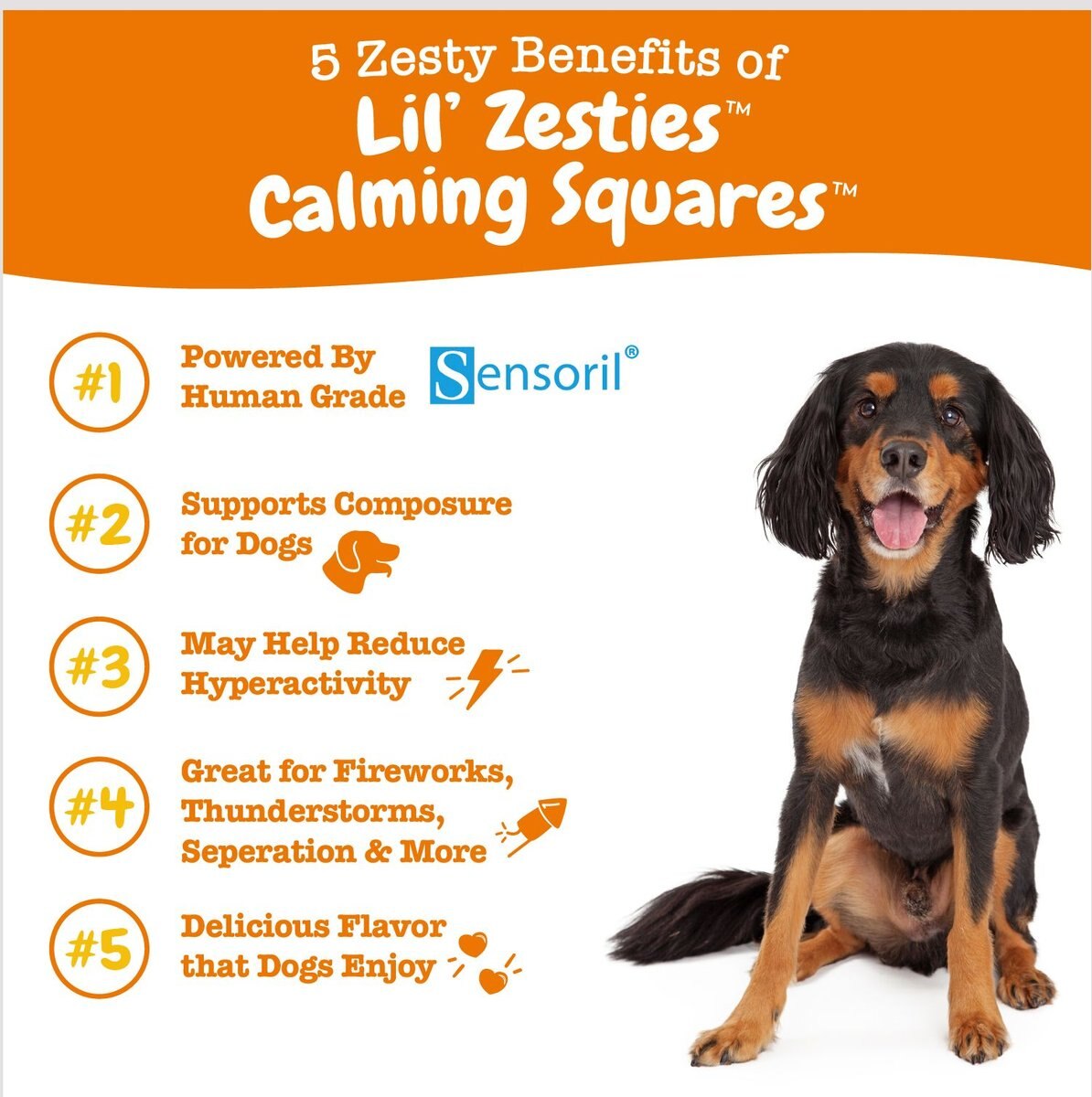 Zesty Paws Lil' Zesties Calming Squares Chicken Flavored Soft Chews Calming Supplement for Dogs