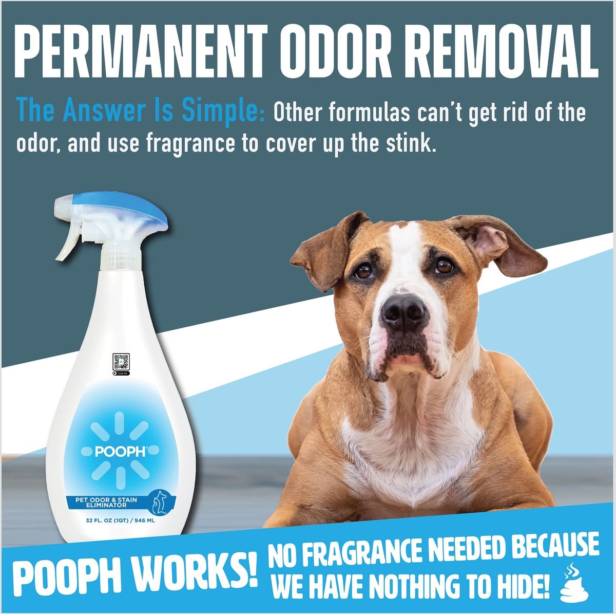 POOPH Cat and Dog Odor and Stain Eliminator