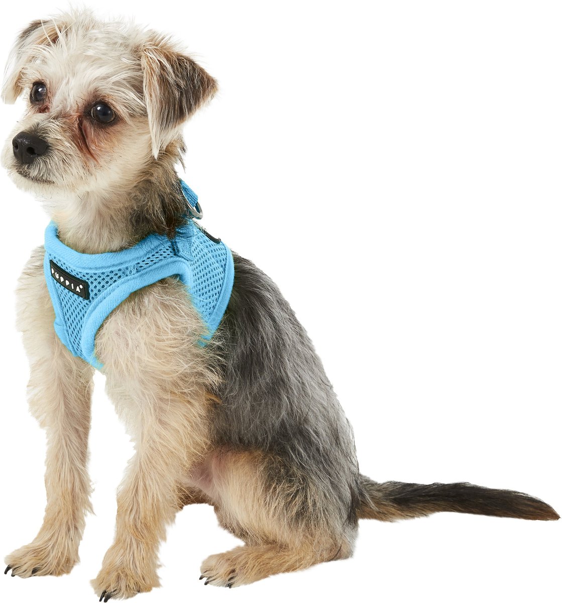 Puppia Vest Polyester Step In Back Clip Dog Harness